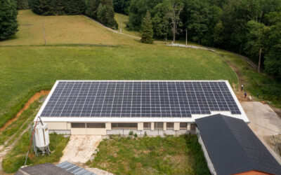 Construction d’une petite bergerie photovoltaïque d’une surface de 750 m² avec bardage près de Pau (64)