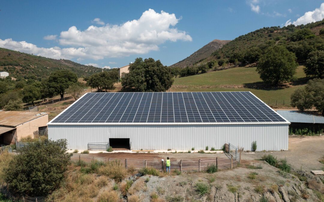 Réalisation d’un hangar photovoltaïque pour un élevage de chèvres en Corse (20)