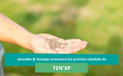 Synerdev & Tenergie annoncent les premiers résultats de « Ten’XP », une de leurs expérimentations agrivoltaïques sur la centrale au sol de Calmont (31)