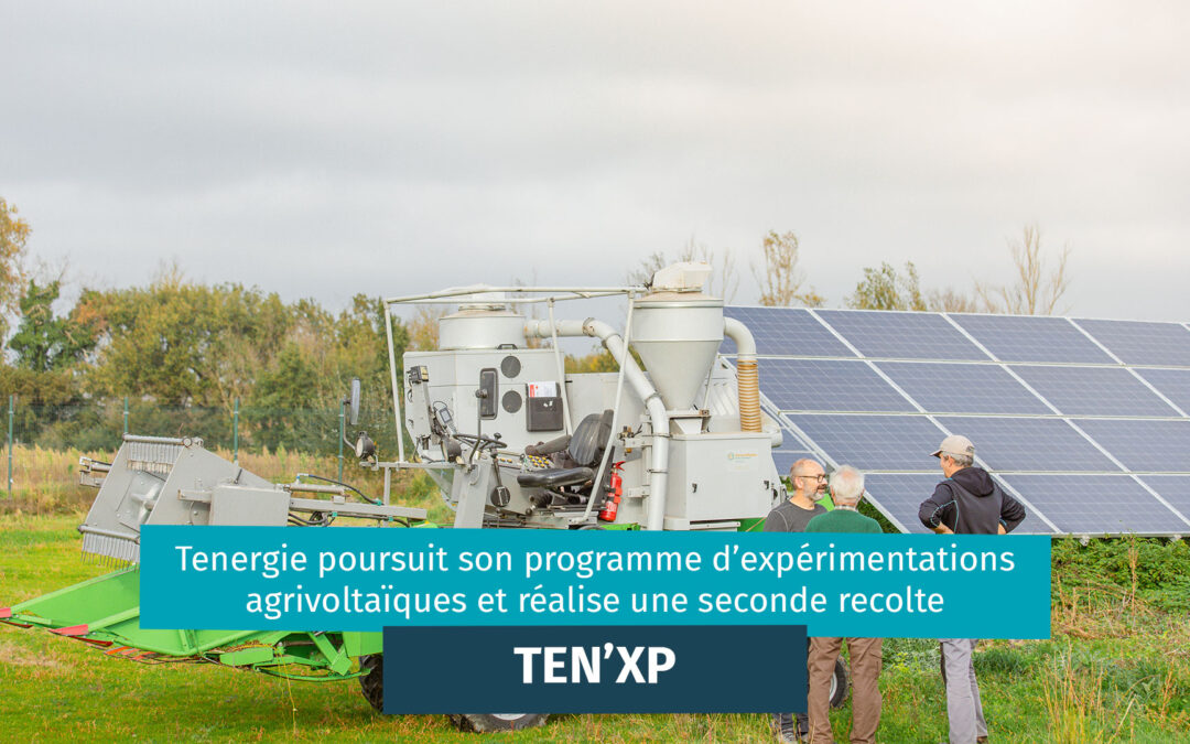 Tenergie poursuit son programme d’expérimentations agrivoltaïque « Ten’XP » sur la centrale de Calmont (31) et réalise une seconde récolte