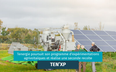 Tenergie poursuit son programme d’expérimentations agrivoltaïque « Ten’XP » sur la centrale de Calmont (31) et réalise une seconde récolte
