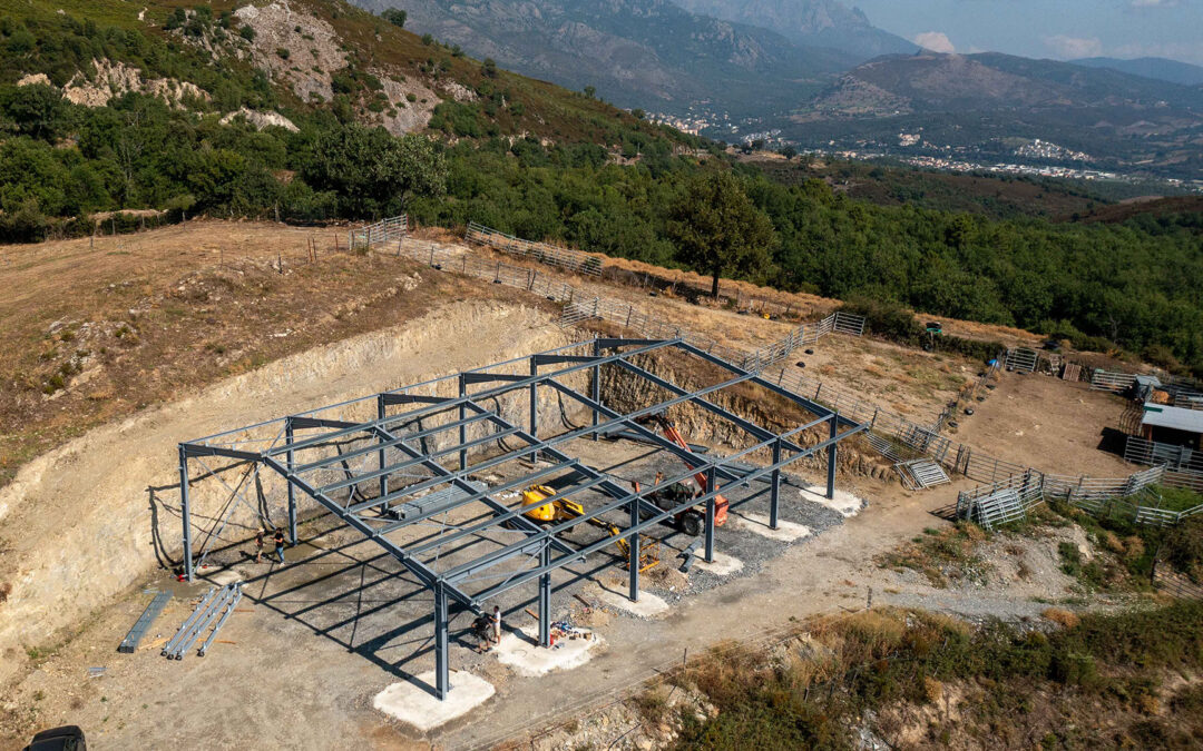 Un hangar agricole au cœur de la Haute-Corse : un projet de transmission et de ténacité